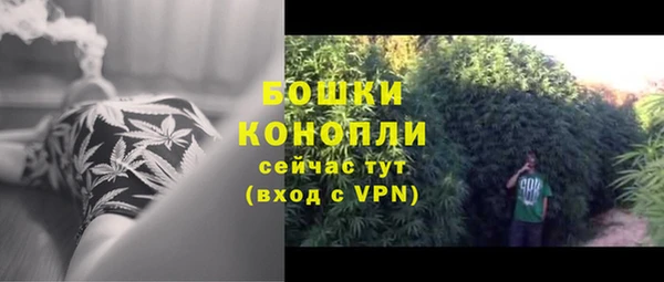 спиды Инсар