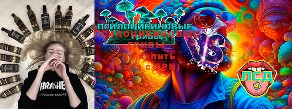 спиды Инсар