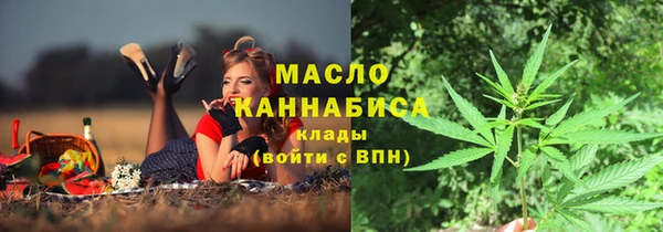 спиды Инсар