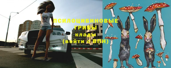 СК Инта