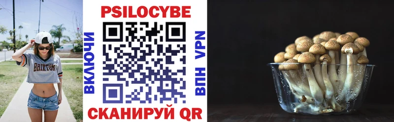 KRAKEN ССЫЛКА  Котлас  Галлюциногенные грибы Magic Shrooms  купить наркоту 