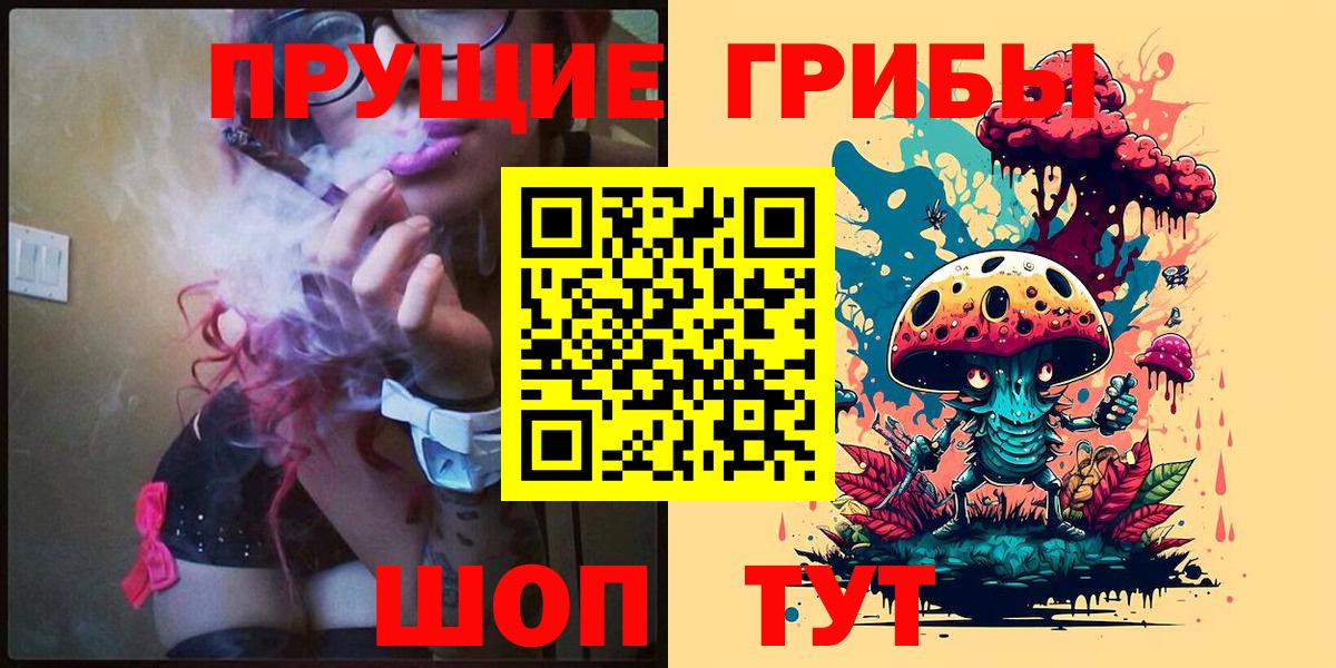 Псилоцибиновые грибы Cubensis  Псилоцибиновые грибы Psilocybine cubensis  Вход с VPN  Котлас 