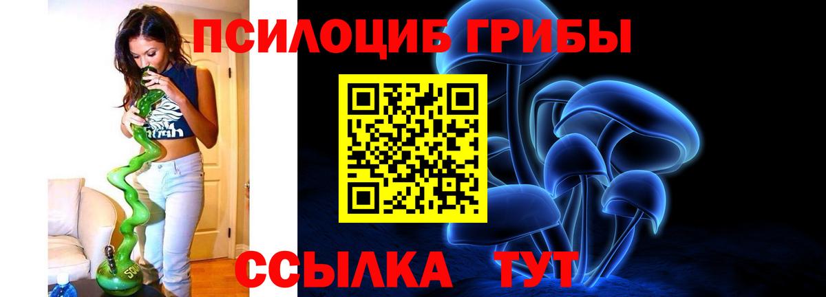 Псилоцибиновые грибы мухоморы Котлас